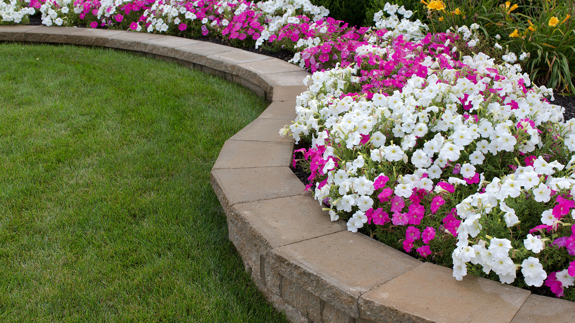 Landscaping Banner Image