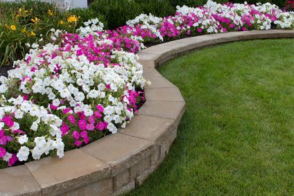 Flower Bed Installation