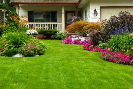 Landscaping Design & Maintenance