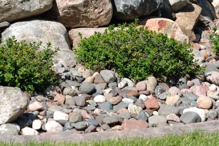 Rock Landscaping